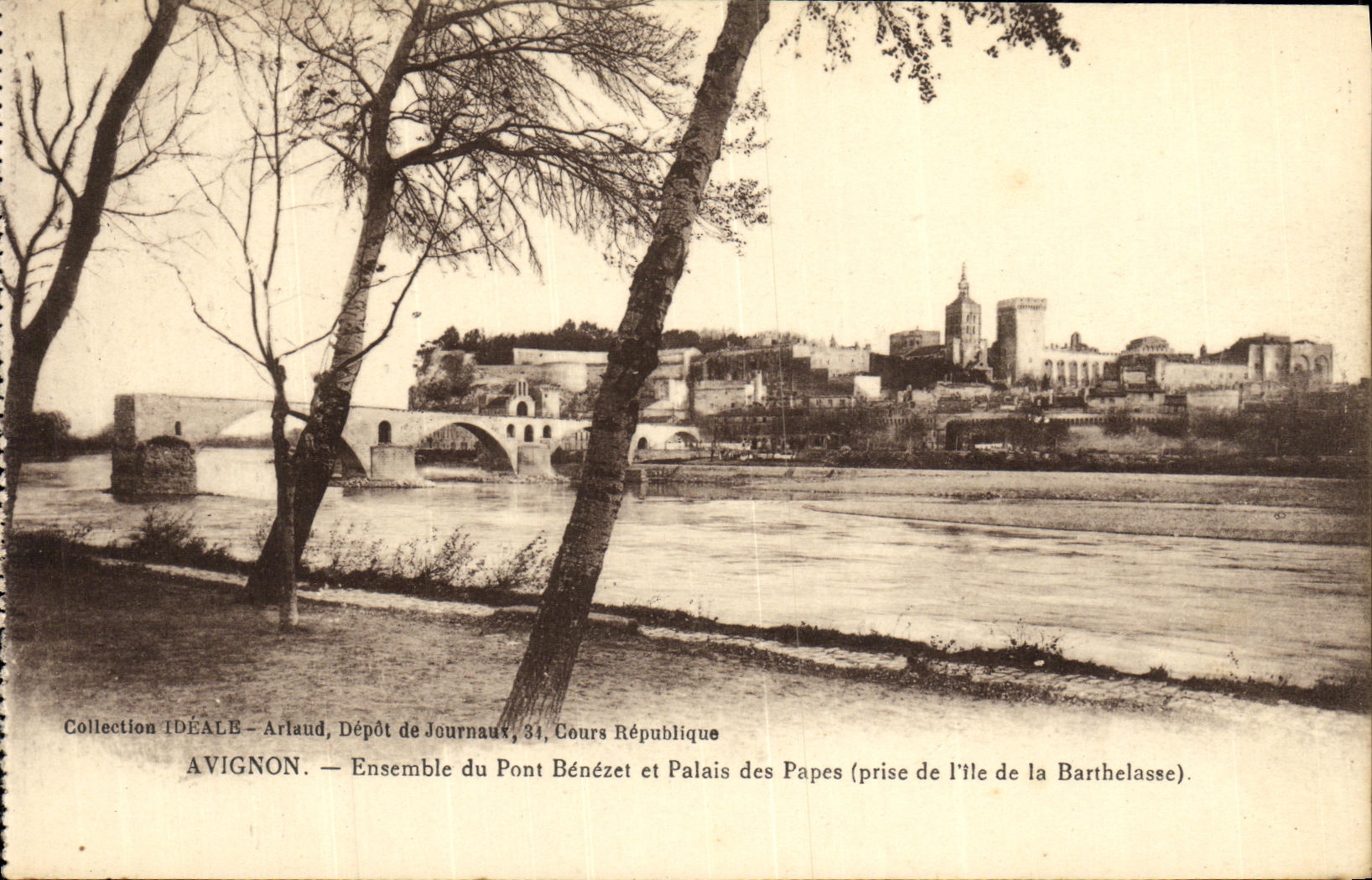 CPA Avignon Ensemble du Pont Benezet et Palais des Papes prise de l ile de la Barthelasse