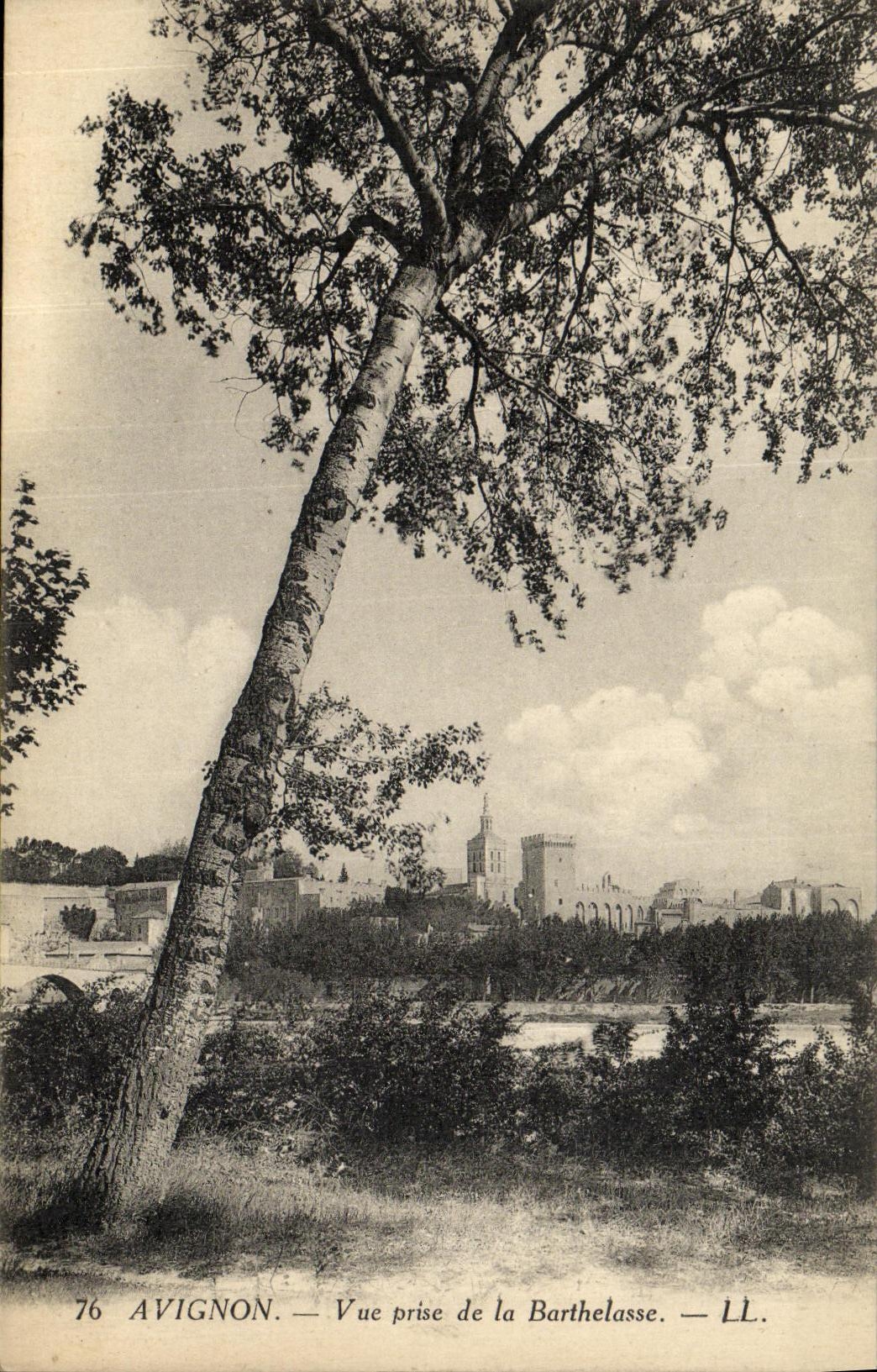 CPA Avignon Vue Prise De La Barthelasse