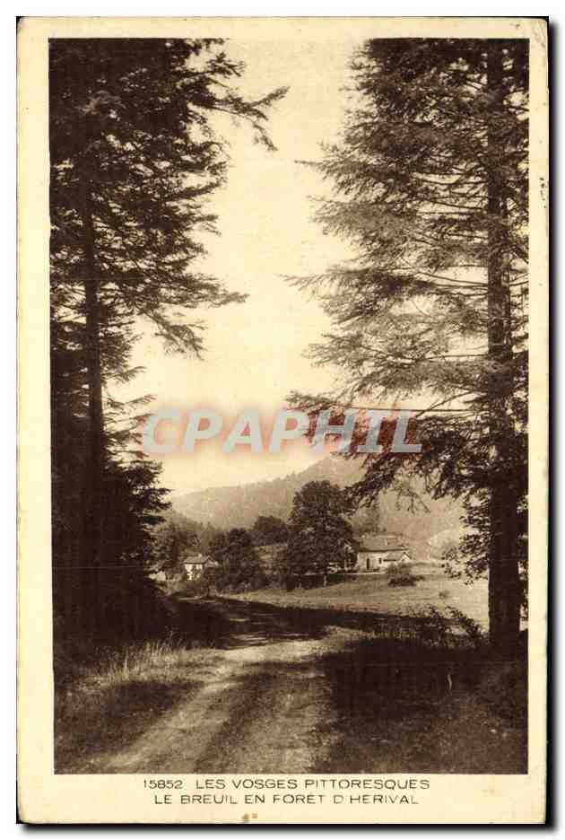 CPA Les Vosges Pittoresque Le Breuil En Foret D Herival 