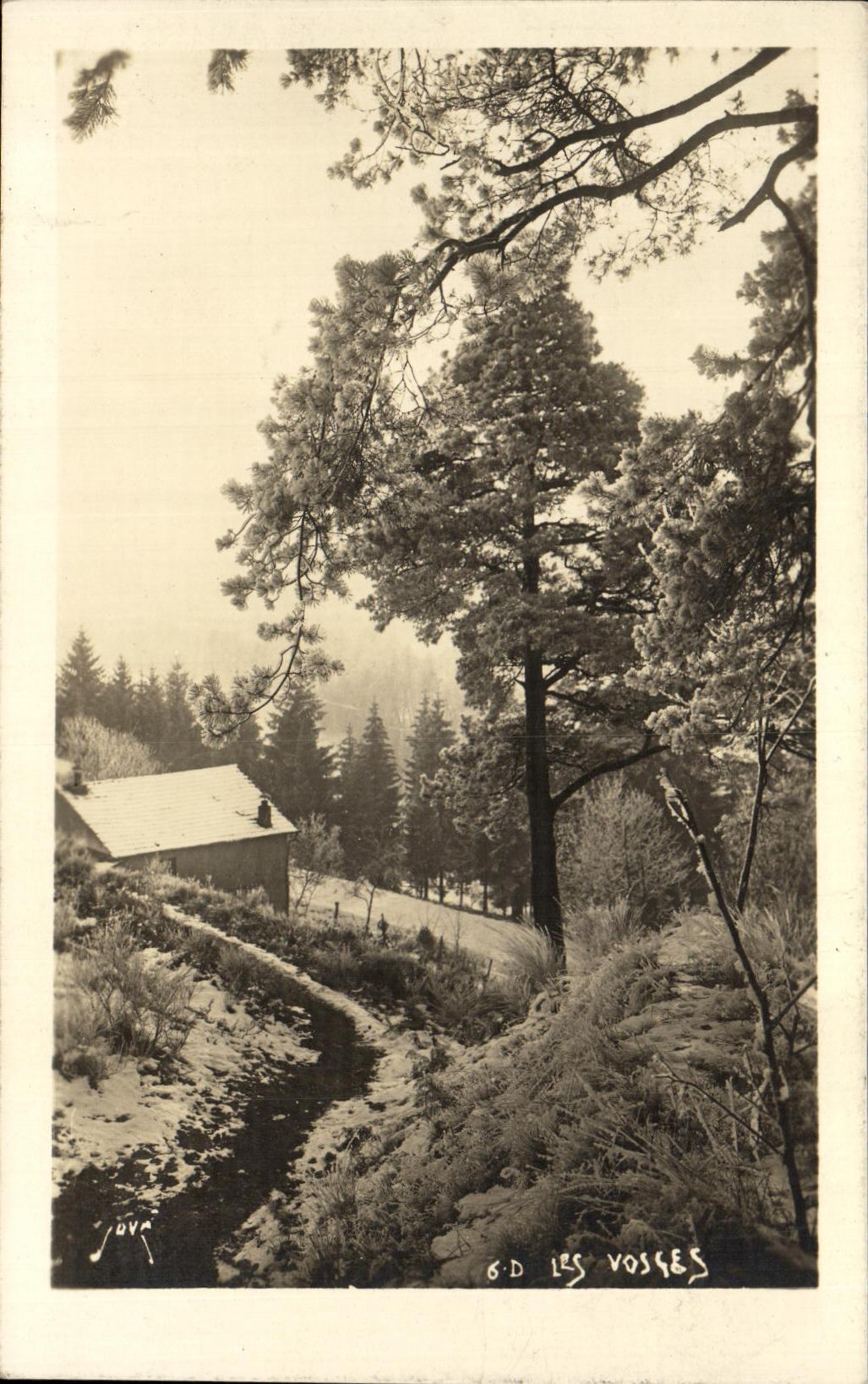 Paysage enneigé — chalet et forêt — Éditions Jové, série 6-D Les Vosges