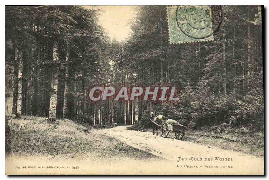 CPA Les Cols Des Vosges Au Chipal Perre Borne Charette Cheval