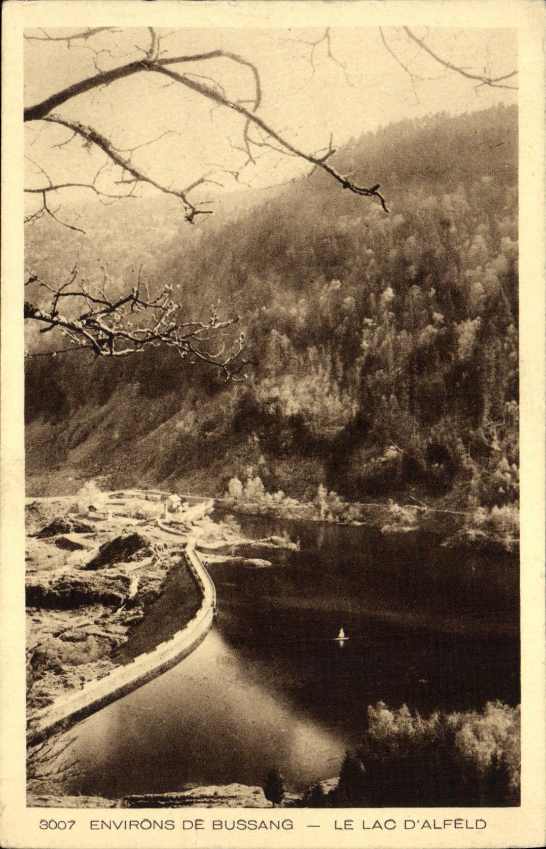 CPA Environs de Bussang Le Lac D Alfeld 