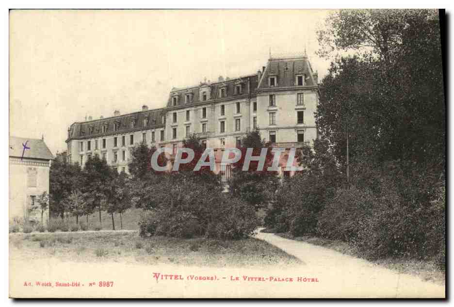 CPA Vittel Le Vittel Palace Hotel 
