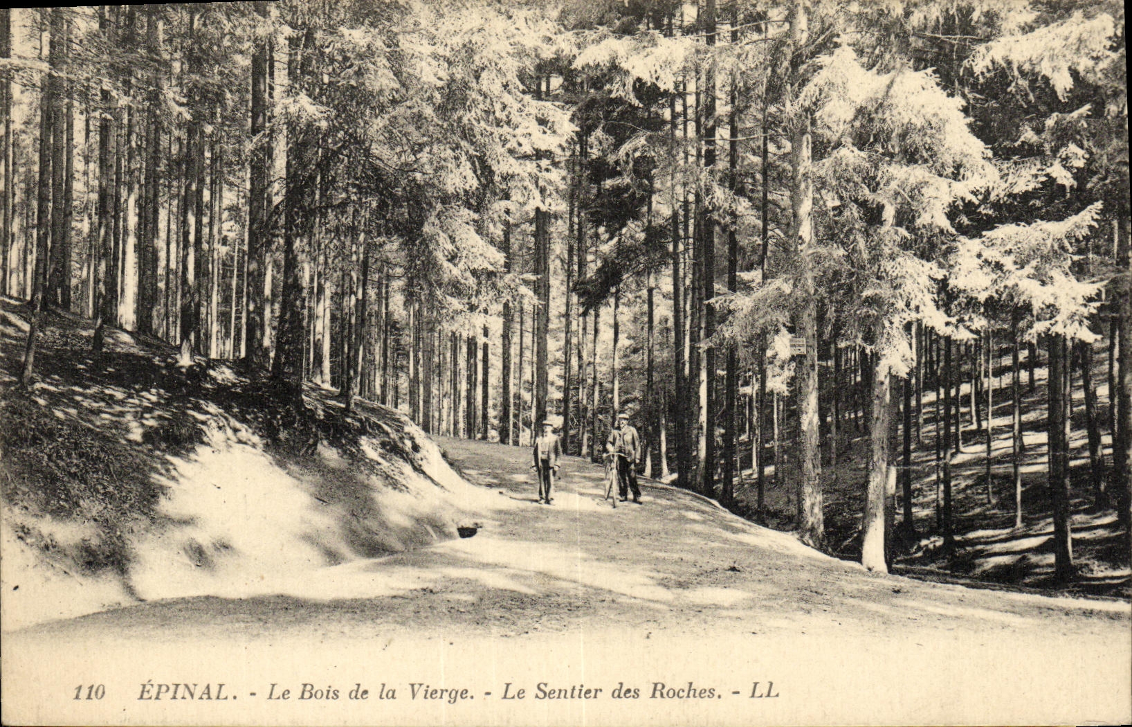CPA Epinal Le Bois de la Vierge Le Sentier des Roches 