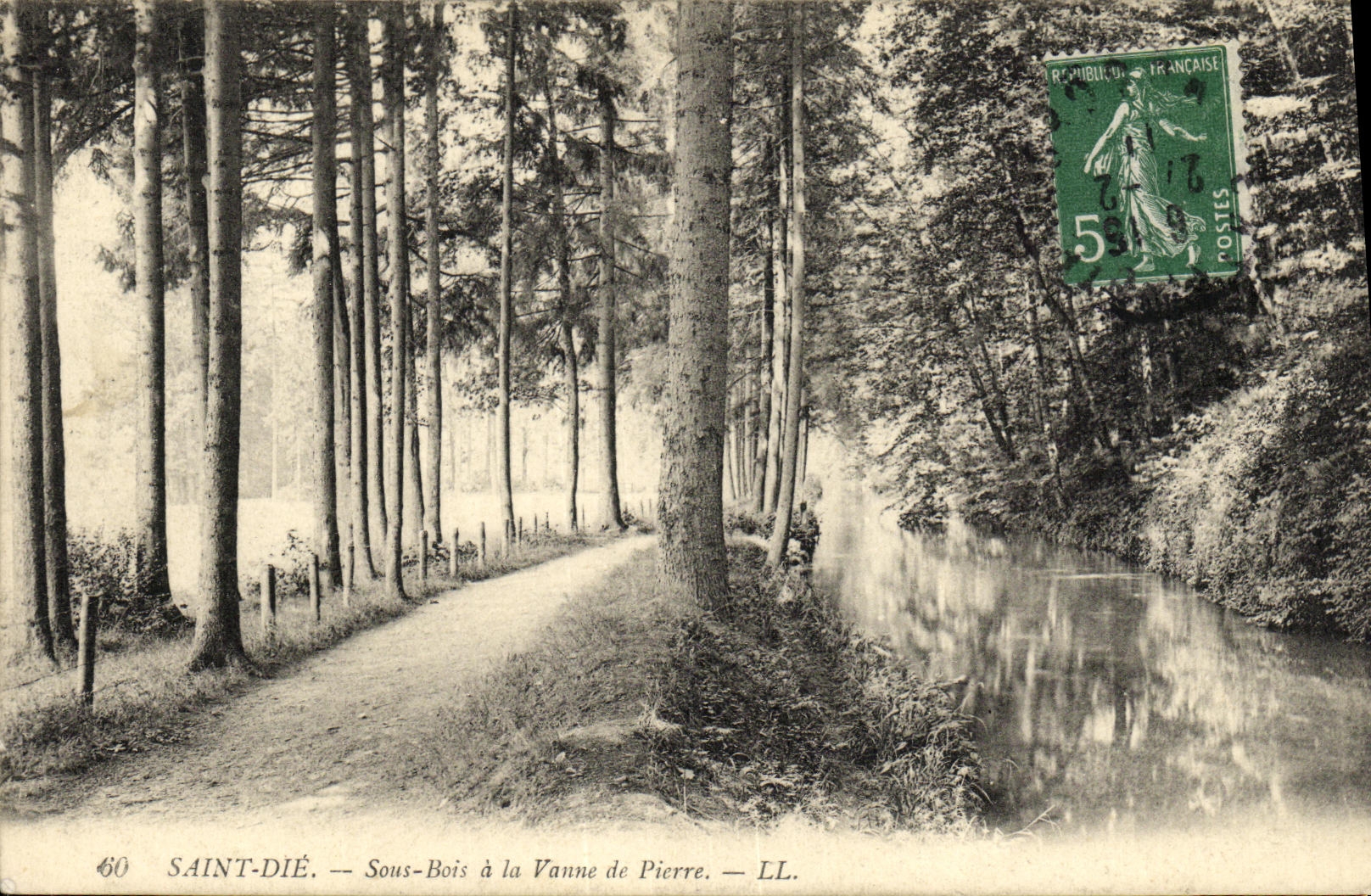 CPA Saint Die Sous Bois a La Vanne de Pierre 