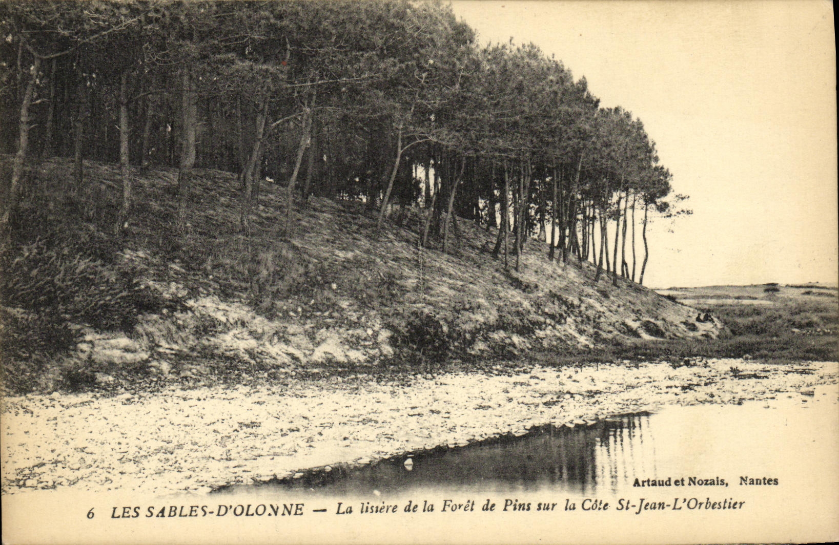 CPA Les Sables D Olonne La Lisiere de la Foret de Pins Sur La Cote St Jean L Orbestier