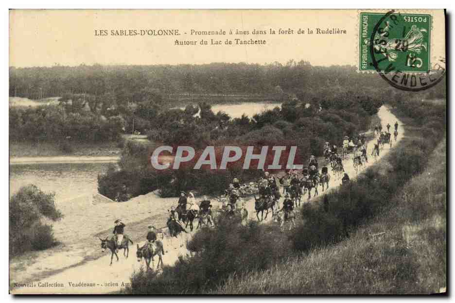 CPA Les Sables D Olonne Promenade a Anes Dans la Foret de la Rudeliere