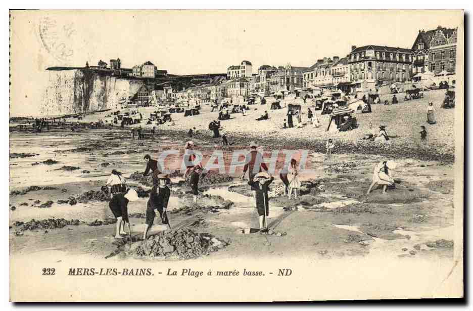 CPA Mers les Bains La Plage a Maree Basse