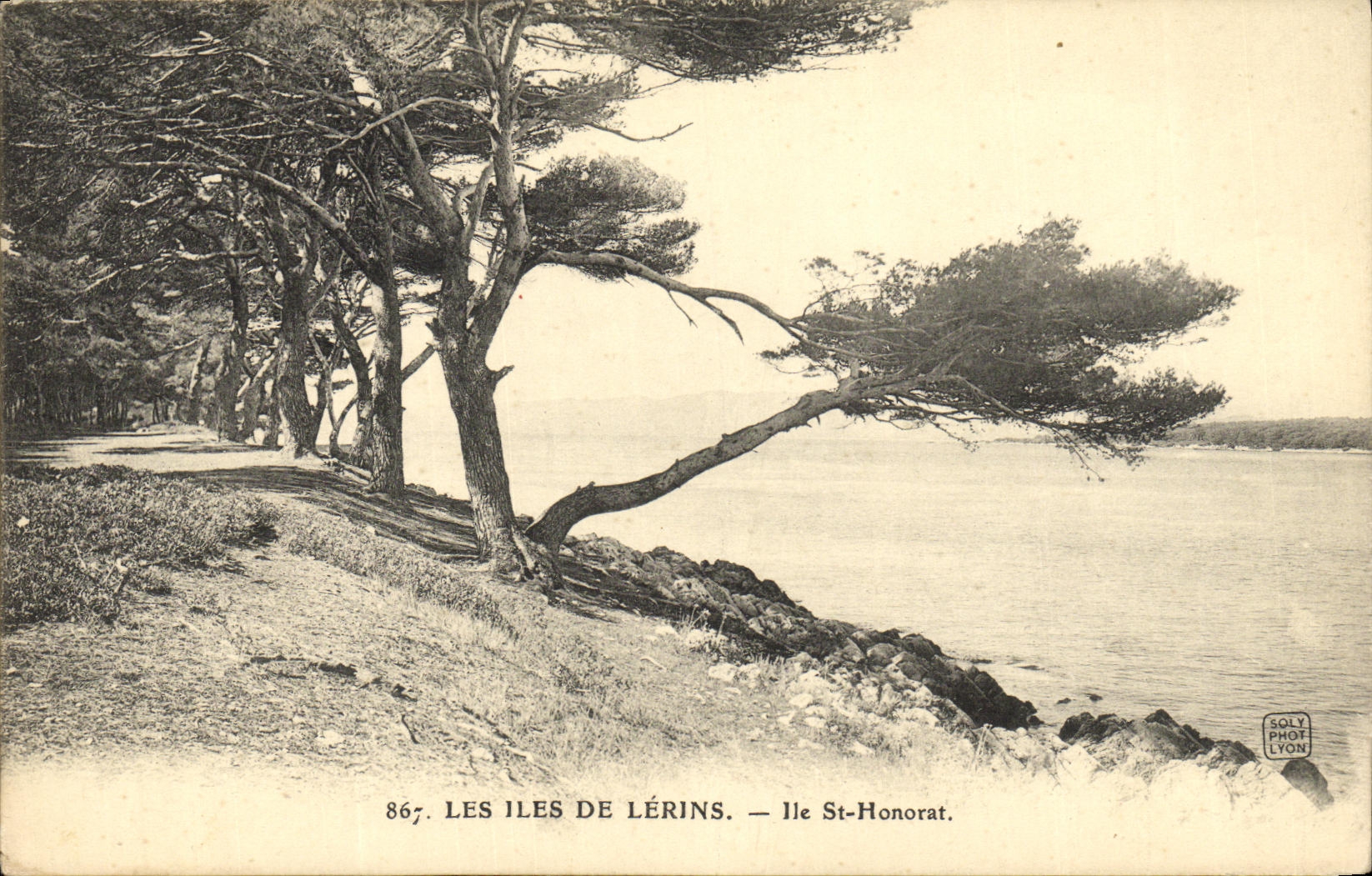 CPA Les Iles De Lerins Ile St Honorat