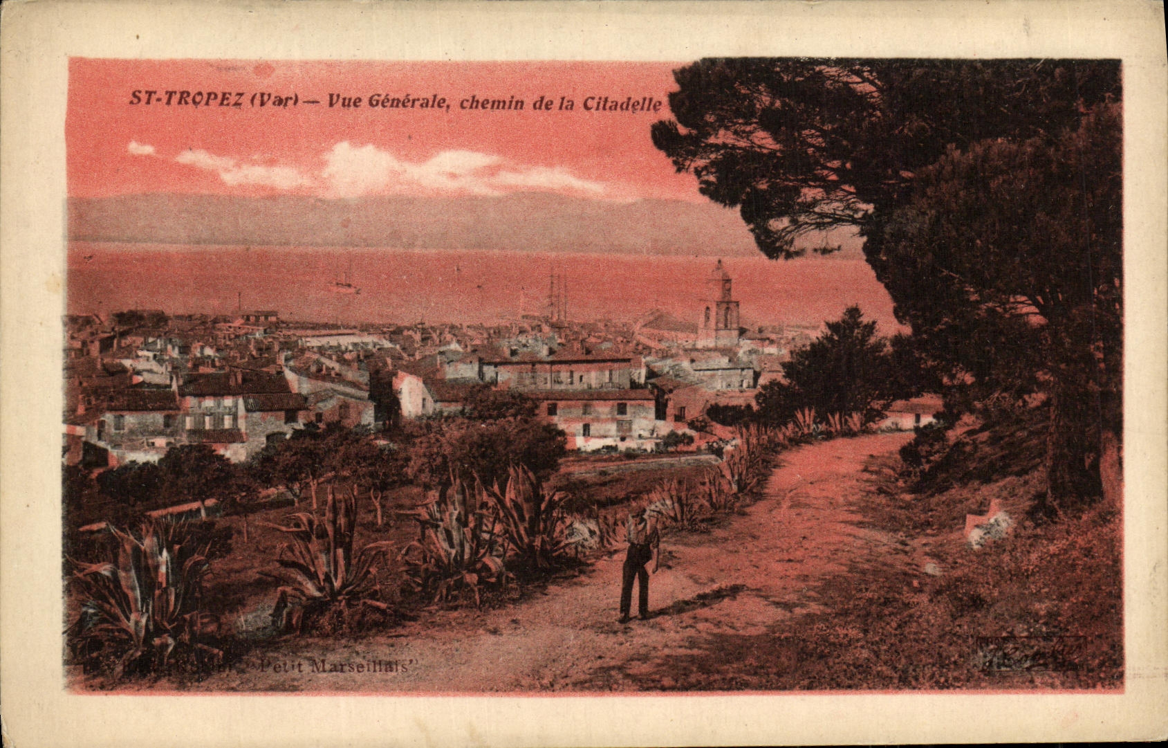 CPA Saint Tropez Vue Generale Chemin de la Citadelle