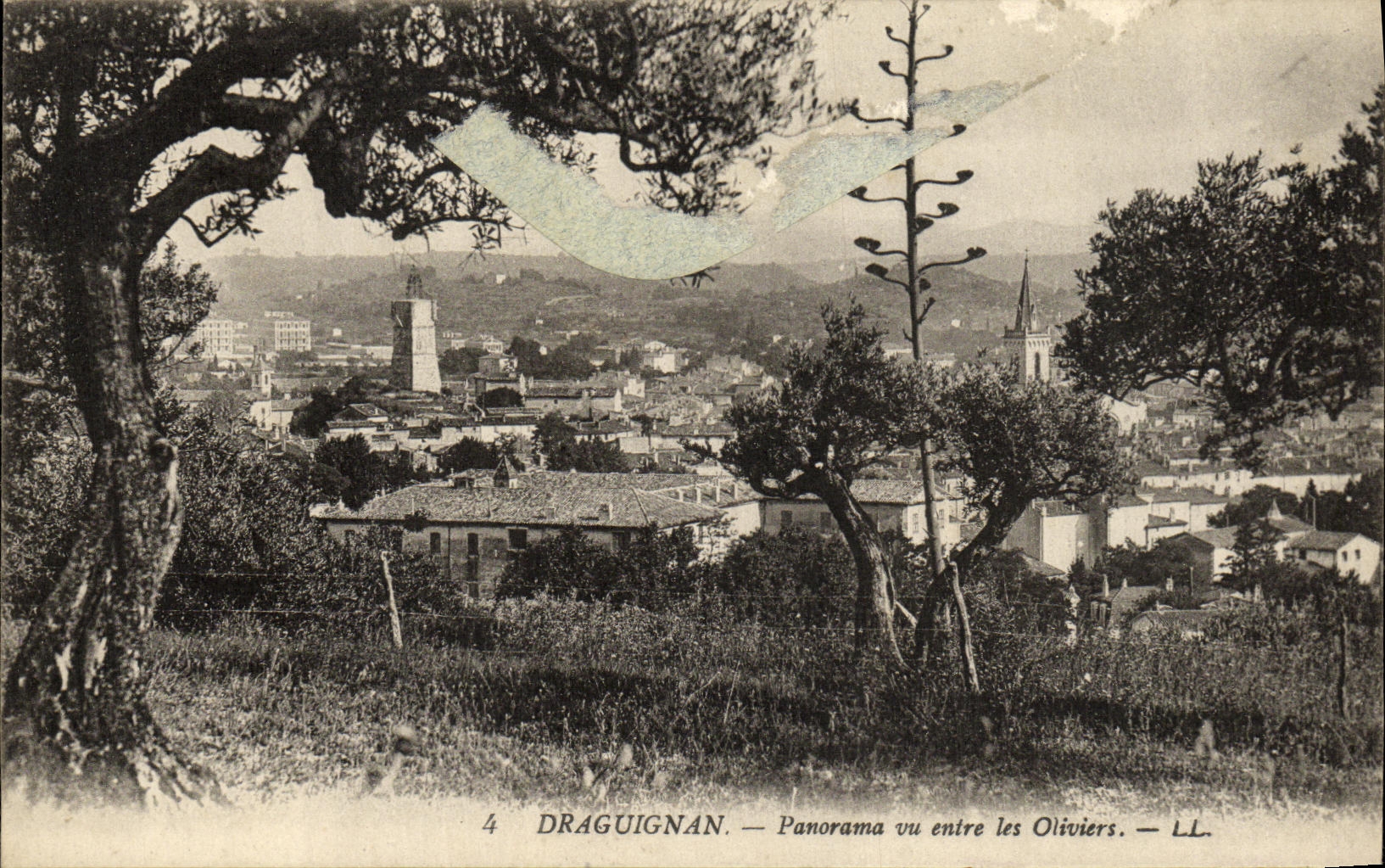 CPA Draguignan Panorama un entre les Oliviers