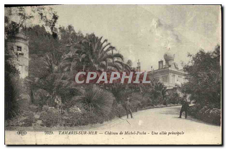 CPA Tamaris sur Mer Chateau de Michel Pacha Une allee principale