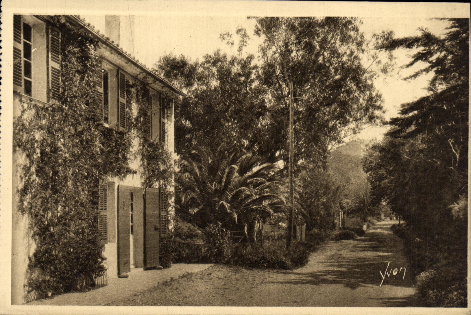 Les Îles d'Hyères (Var) — Porquerolles — Route conduisant à la Plage d'Argent — Éditions d'Art Yvon