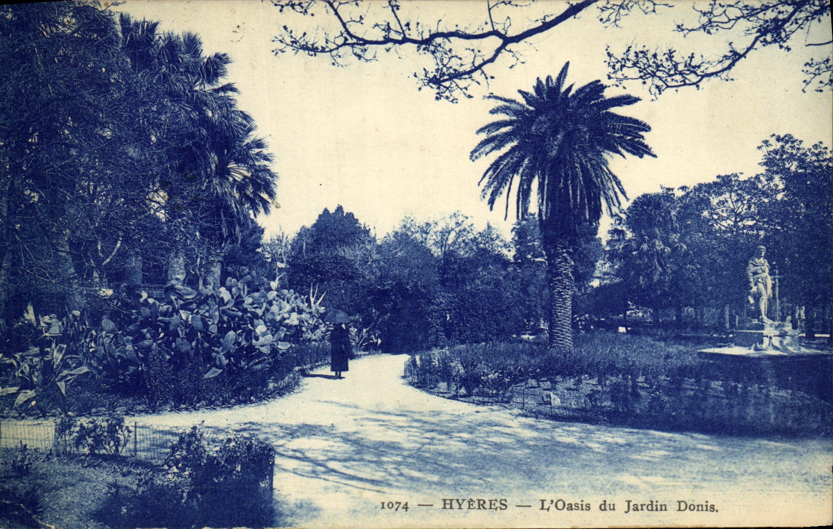 CPA Hyeres L Oasis du Jardin Donis
