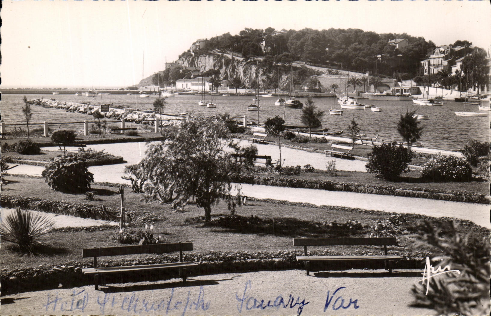 CPSM Sanary Le Jardin Municipal