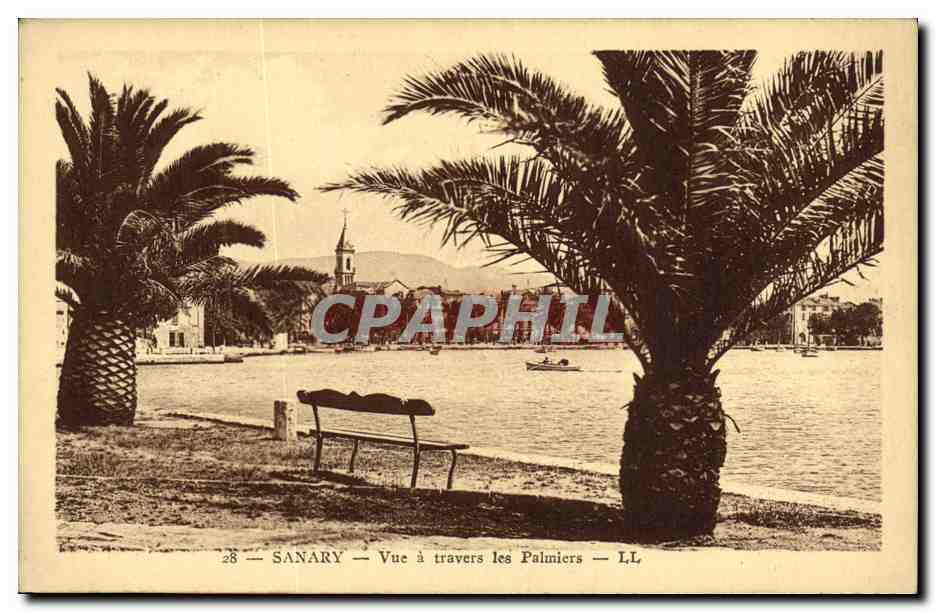 CPA Sanary Vue a Travers les Palmiers