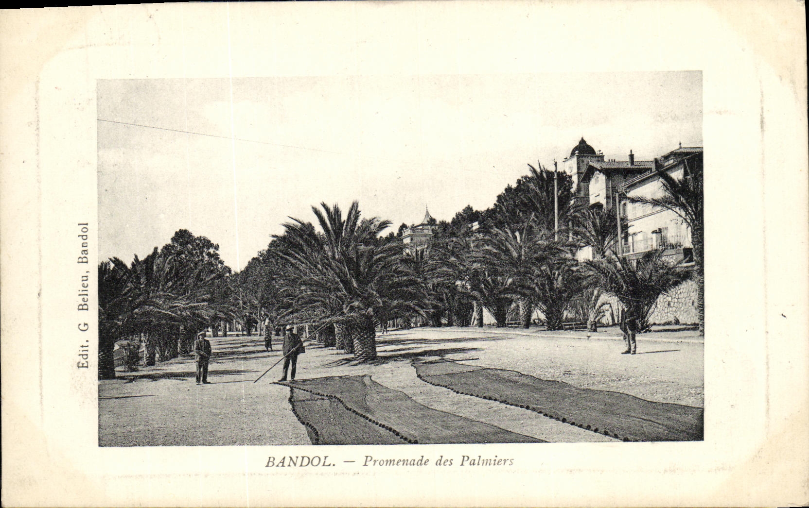 Bandol — Promenade des Palmiers — Edit. G. Belieu, Bandol
