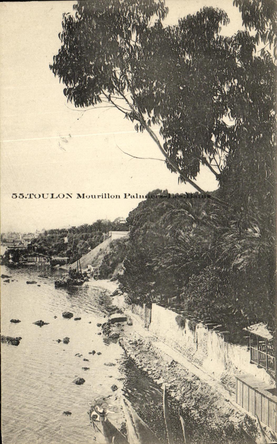Toulon — Mourillon, Palmiers-Les-Bains — éditeur inconnu, n° 55