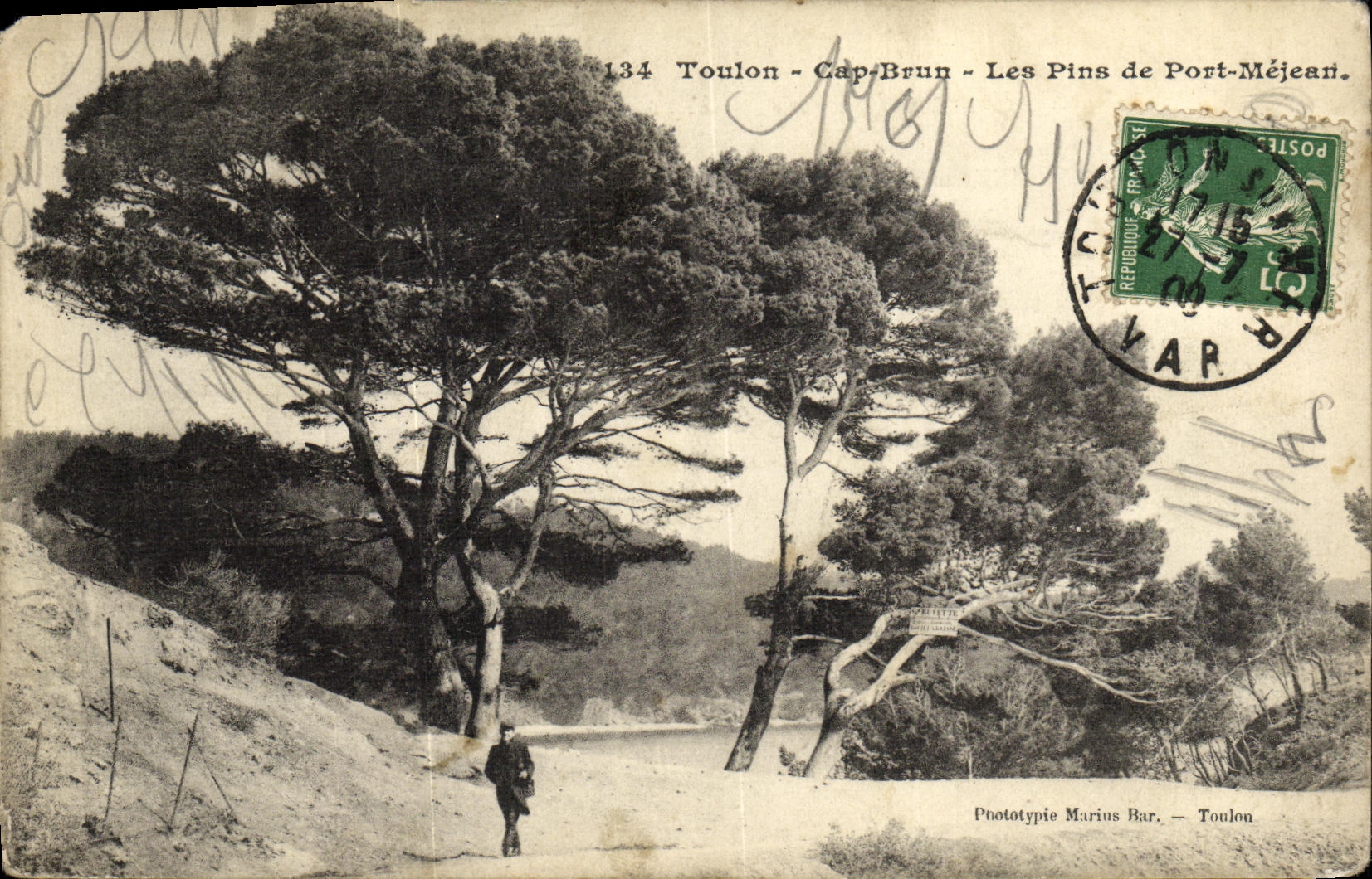 Toulon - Cap-Brun - Les Pins de Port-Méjean — Phototypie Marius Bar, Toulon