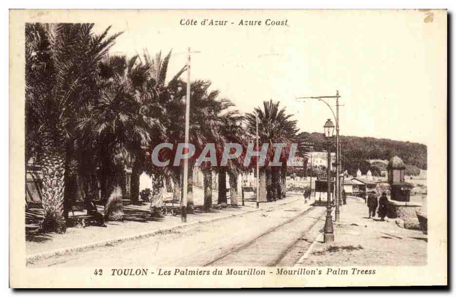 CPA Toulon Les Palmiers du Mourillon Trmway