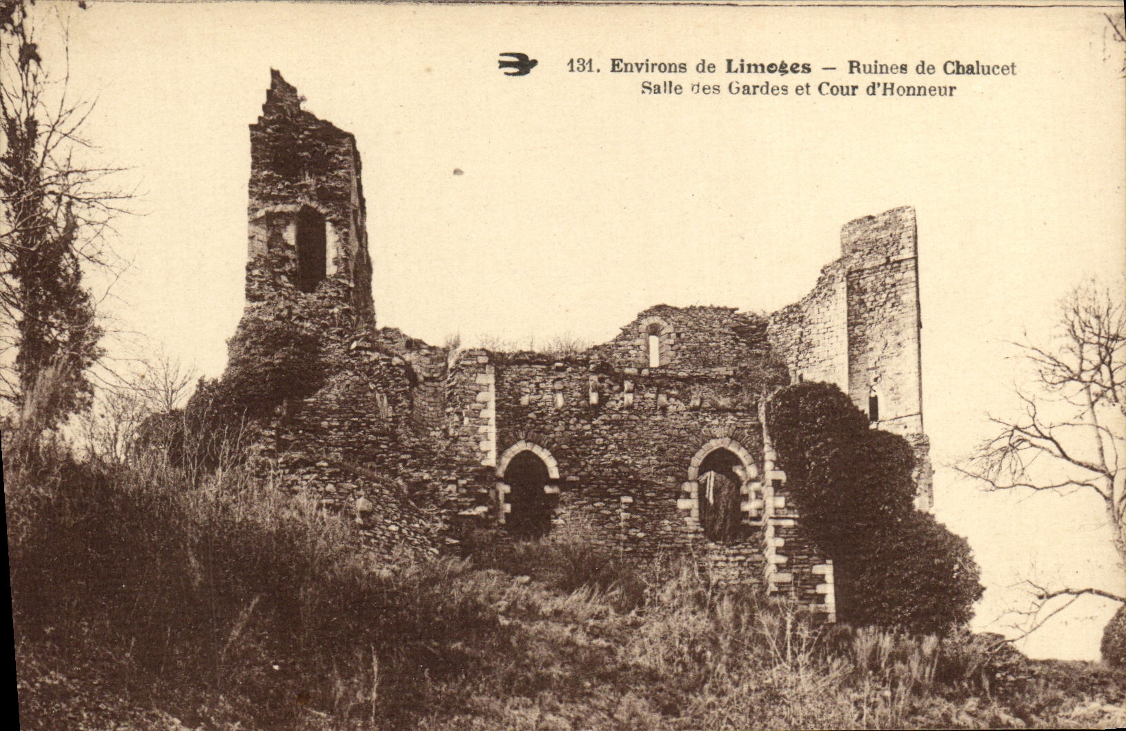 Environ de Limegès — Ruines de Chalucet — Salle des Gardes et Cour d'Honneur — n° 131
