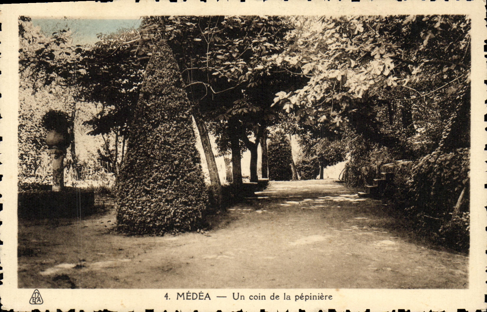 CPA Medea Un coin de la Pepiniere