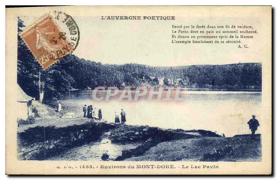CPA Environs Du Mont Dore Le Lac Pavin 