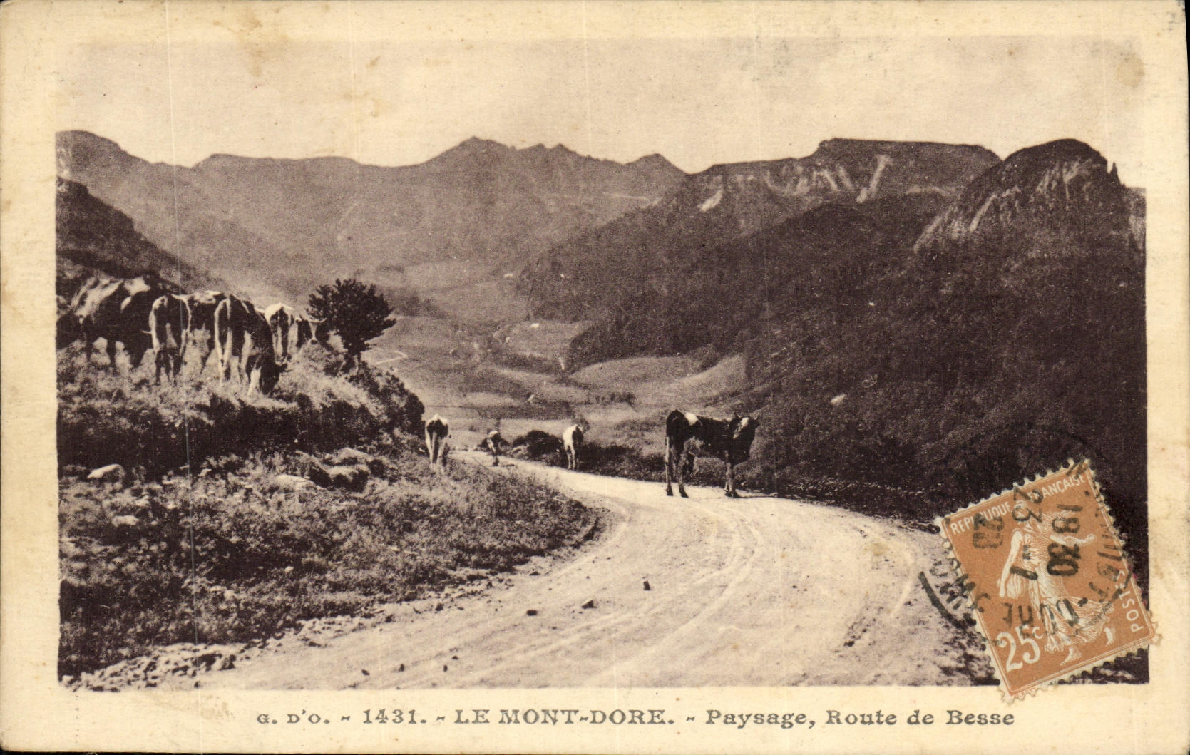 CPA Le Mont Dore Paysage Route De Besse Vaches