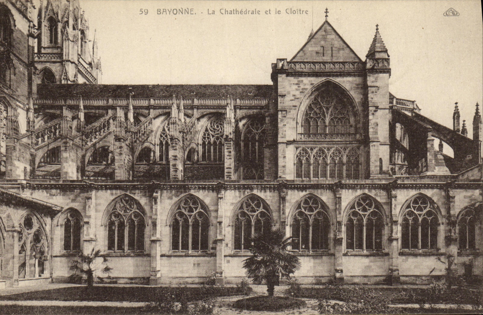 CPA Bayonne La Cathedrale et le Cloitre 