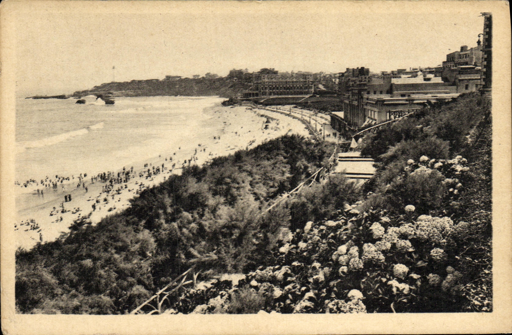 CPA Biarritz Les Hortensias Et La Grande Plage 