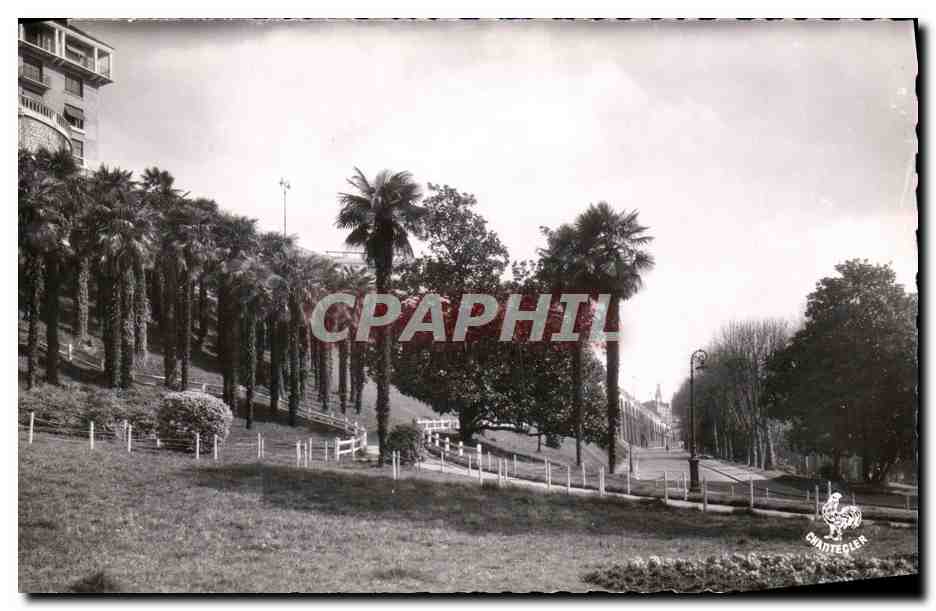 La Palmeraie et l'Avenue de la Gare — Pau — Éditions Chantecler, n° 202