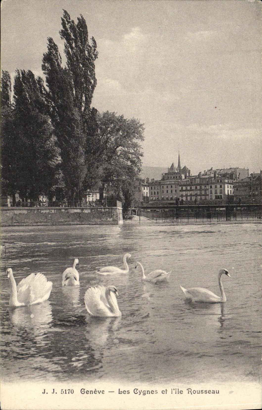 CPA Geneve Les Cygnes Et L lle Rousseau 