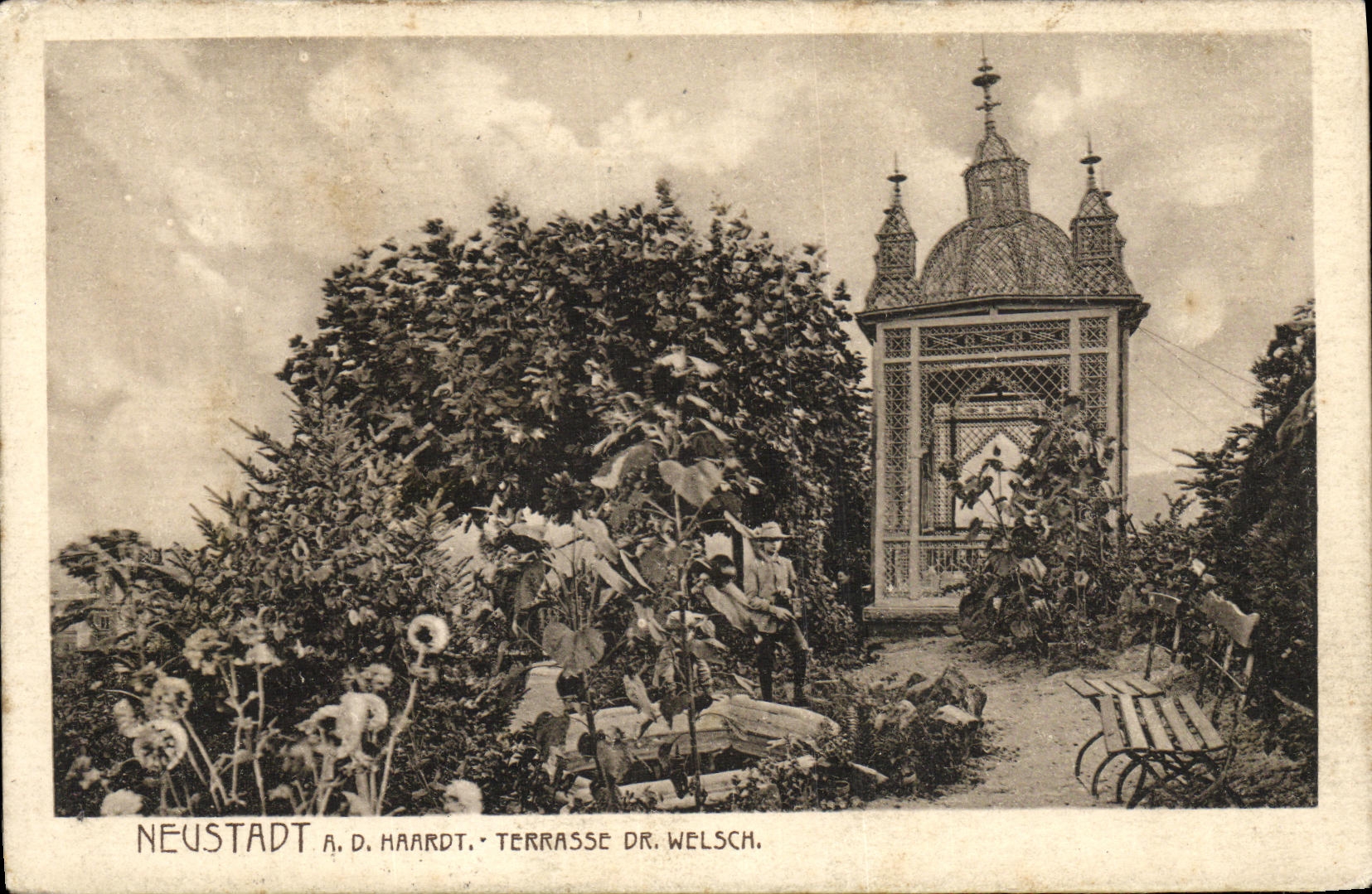CPA Neustadt A D Haardt Terrasse Dr Welsch 