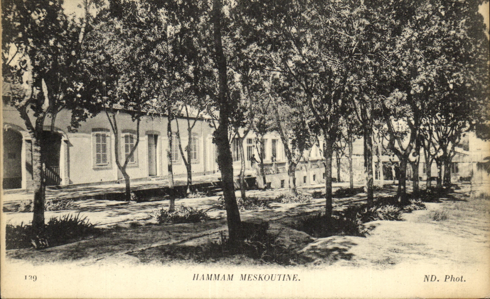 CPA Hammam Meskoutine 