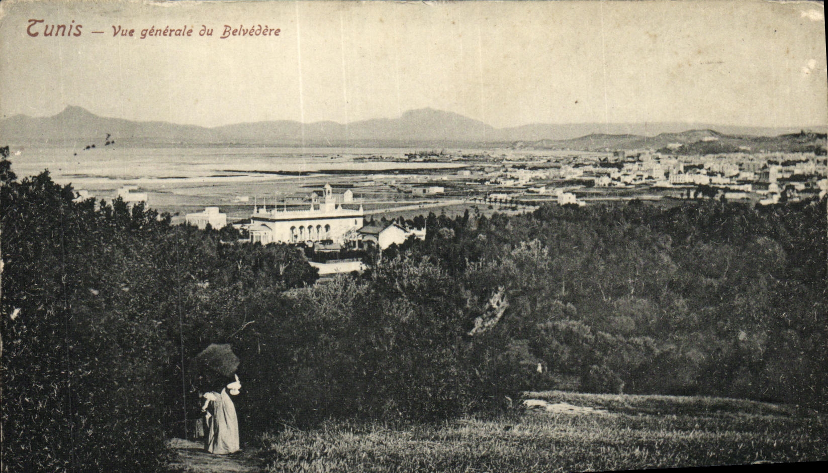 CPA Tunis Vue Generale du Belvedere