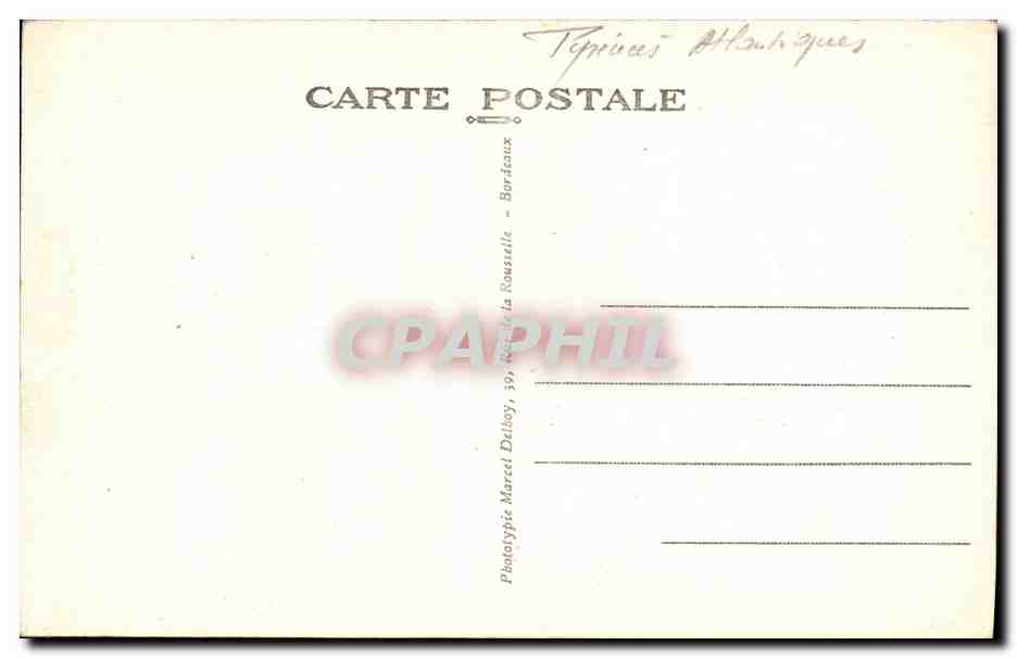 CPA Biarritz Cote des Basques et Helianthe sur la Falaise — Rückseite