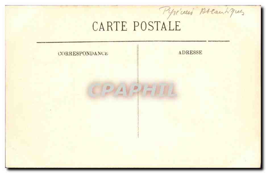 CPA Biarritz Cote des Basques — Verso
