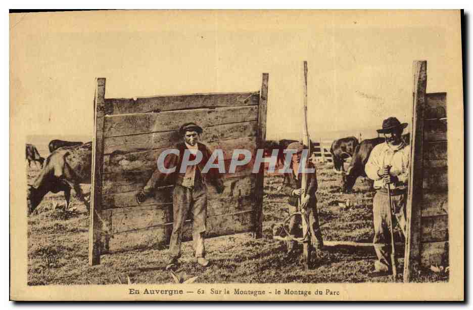 CPA En Auvergne Sur La Montagne Le motnage du parc Vaches Bergers Folklore