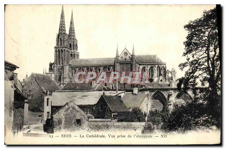 CPA Sees La Cathedrale Vue Prise De L abreuvoir 