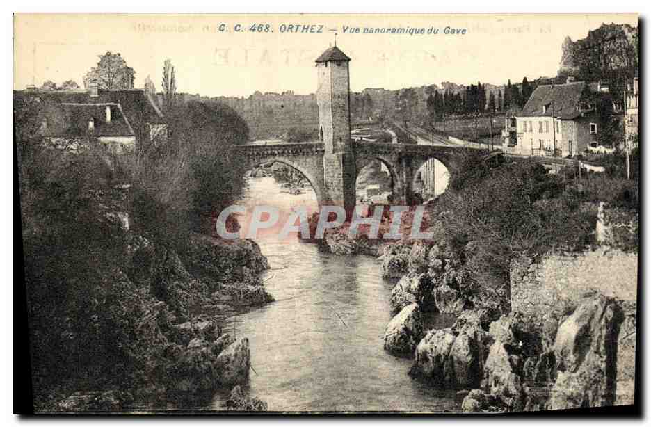 CPA Orthez Vue Panoramique du Gave 