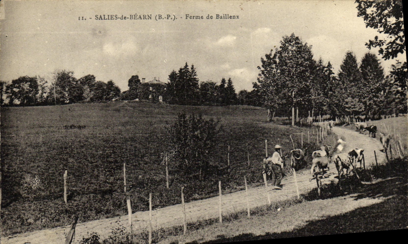 Salies-de-Béarn (B.P.) — Finca de Baillenx — paisaje rural con agricultor y vacas