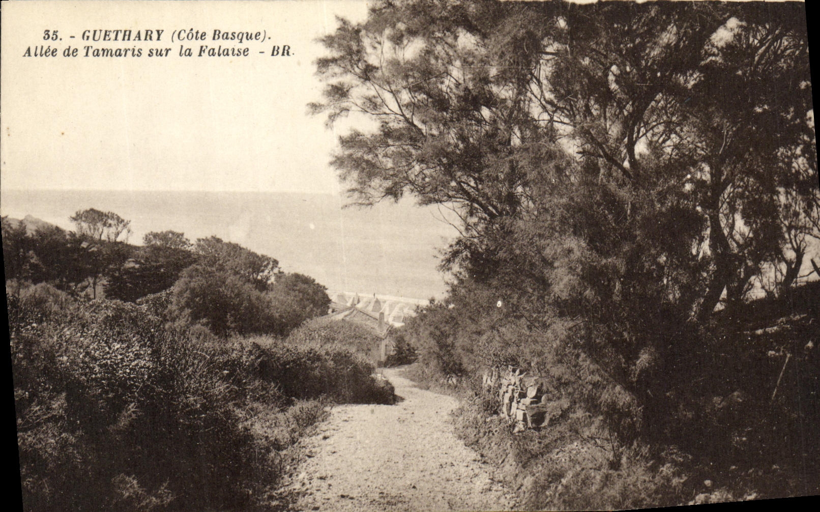 CPA Guethary Allee De Tamaris Sur La Falaise