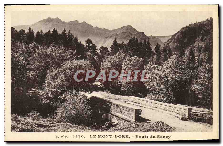 CPA Le Mont Dore Route du Sancy 