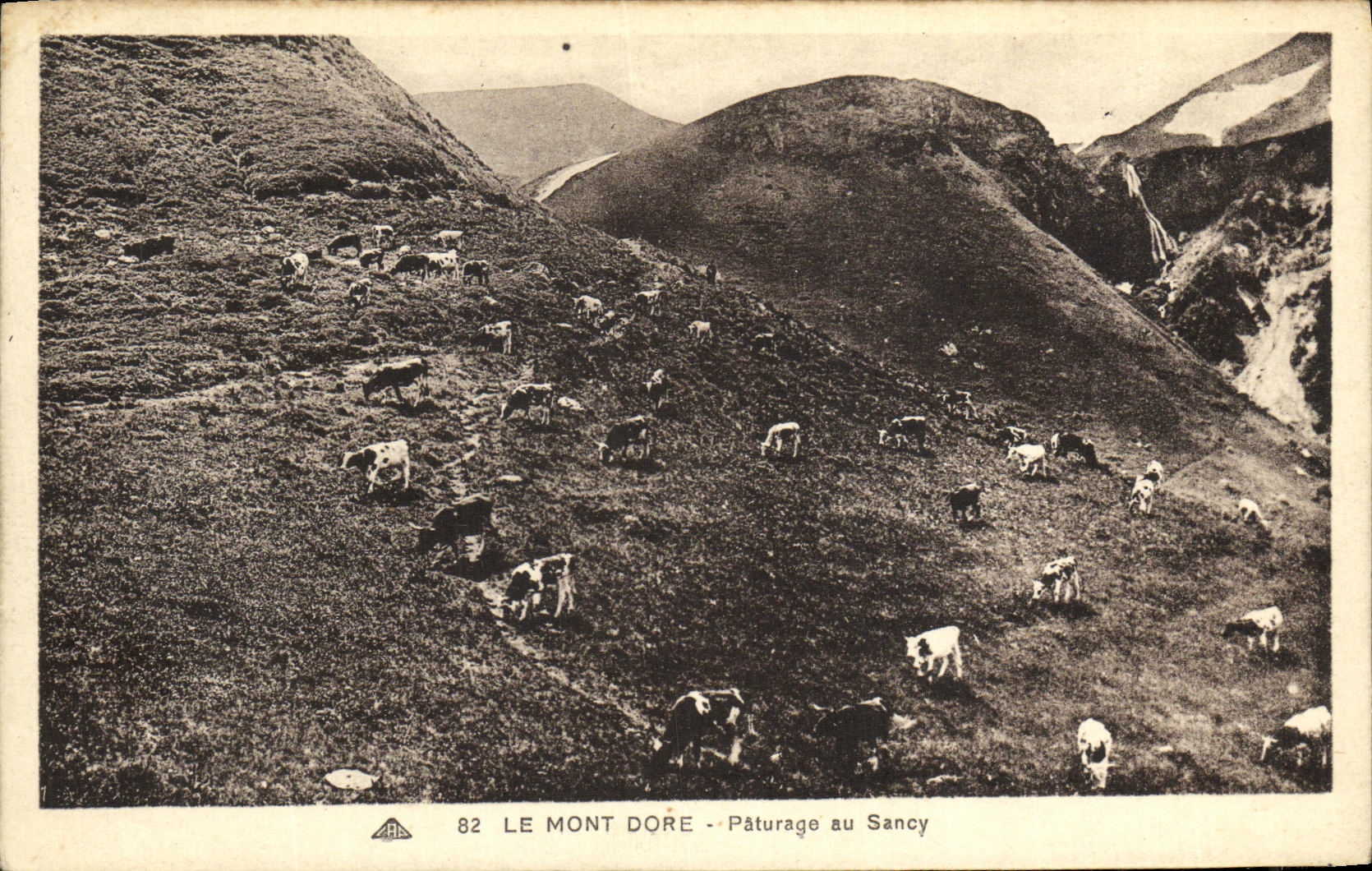 CPA Le Mont Dore Paturage au Sancy Vaches