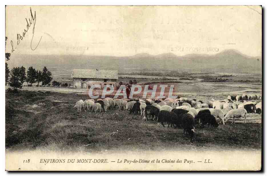 CPA Environs du Mont Dore Le Puy de Dome et La Chaine Des Puys Berger et moutons