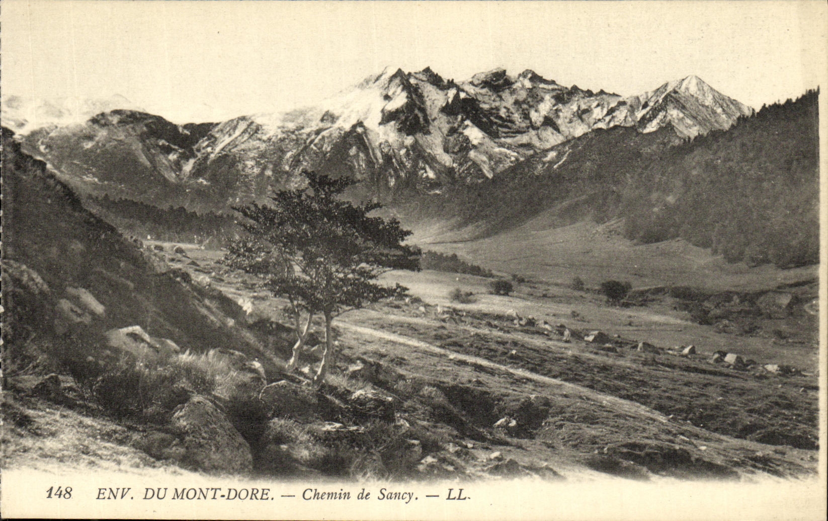 CPA Env Du Mont Dore Chemin de Sancy 
