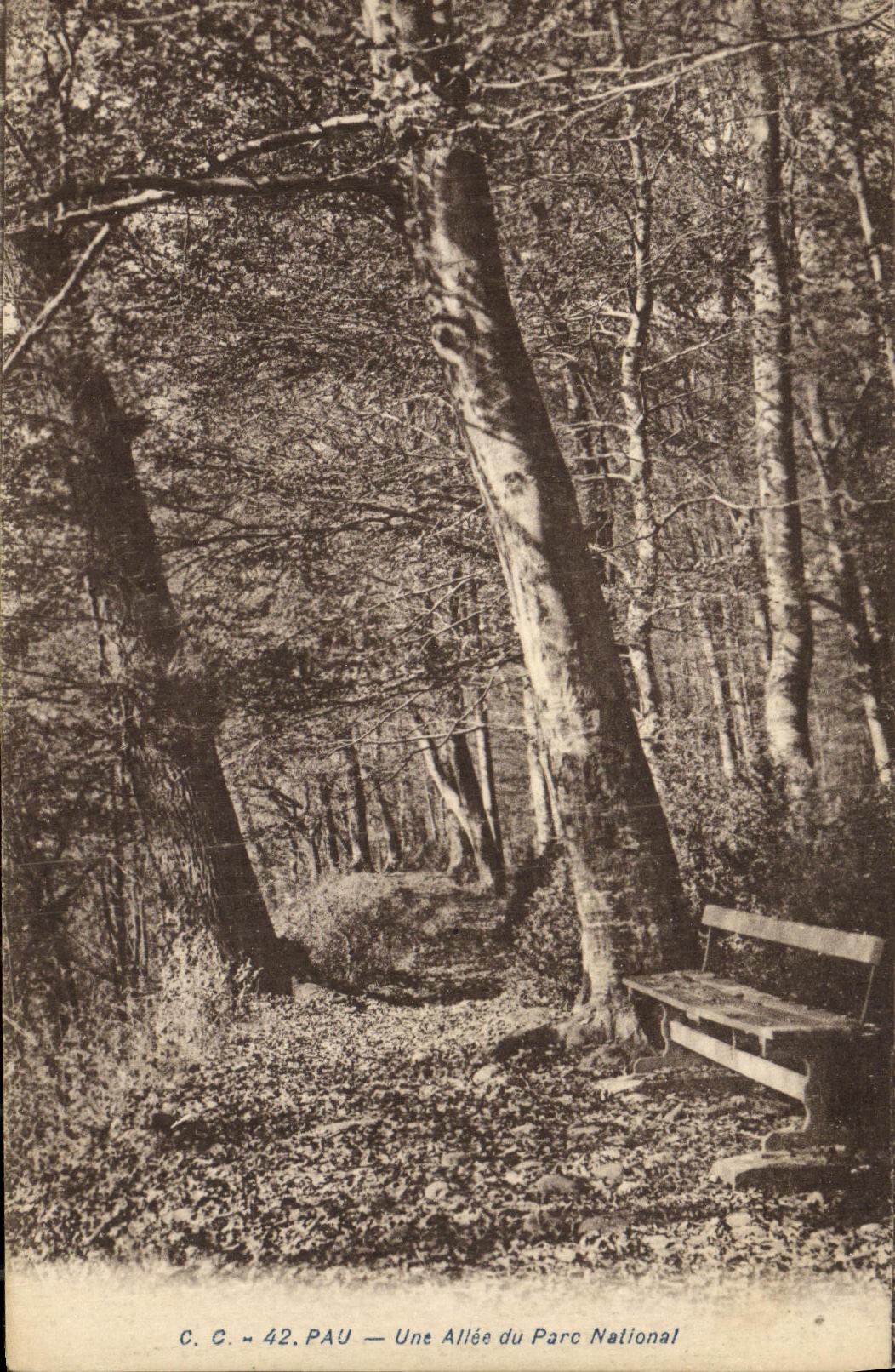 Allée du Parc National — C.C. 42. PAU