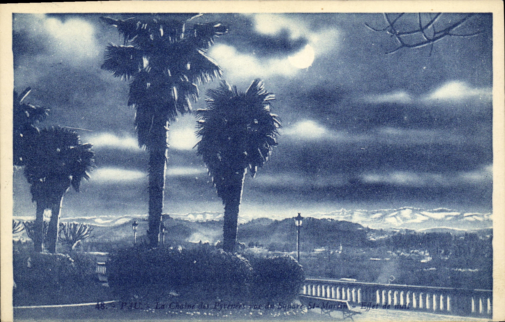 Pau — La Chaîne des Pyrénées vue du Square Saint-Martin — Effet de nuit
