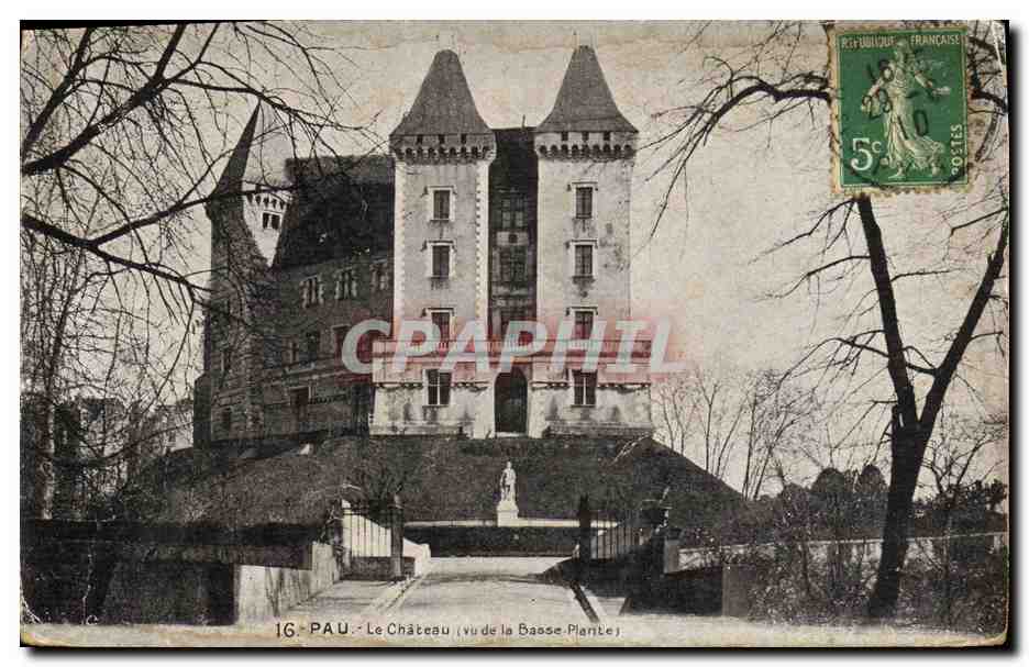CPA Pau Le Chateau Vu de la Basse plante 