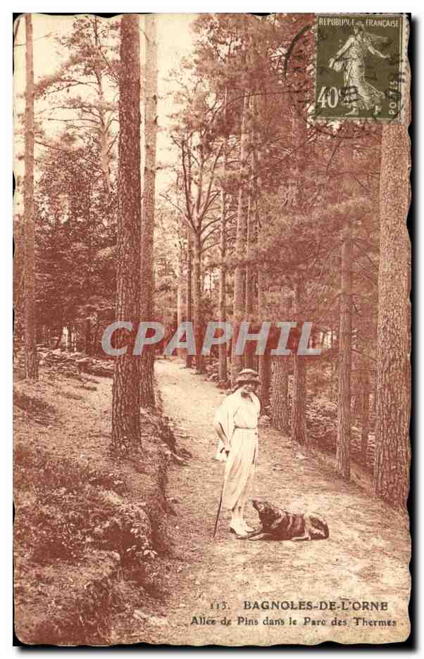 CPA Bagnoles De L Orne Allee de Pins dans le Parc des Thermes